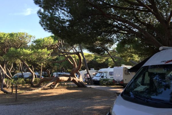 Camping Belmare - La Pineta e le Piazzole